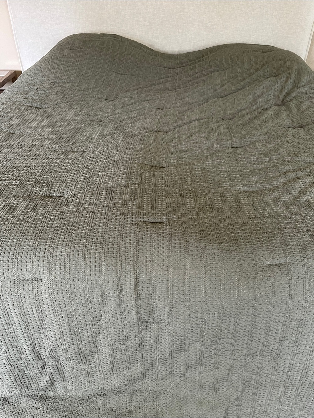 King size green comforter blanket all season